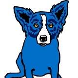 Blue Dog Portal