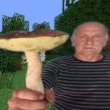 лес поганок ⁶¹ˢᑫᵈ · 𝔨𝔞𝔩𝔶𝔞𝔨𝔦