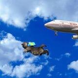 FlyCat CTO