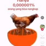 penipu upfoll