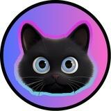 $LEIA | The Solana Founders Cat