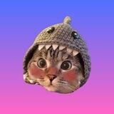 NALA - The most famous Cat