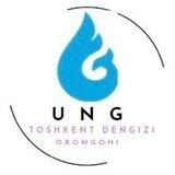 UNG Toshkent Dengizi oromgohi Chat