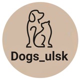 🐕Dogs_ulsk🐈Дорога Добра❤️