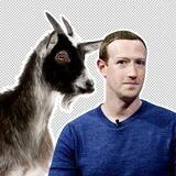 Mark Zuckerberg's GOAT