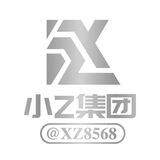 ZZ代收集团