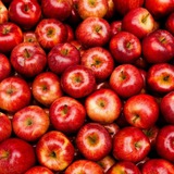 کانال سیبِ مریخ 🍎