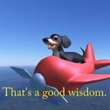 Dog Of Wisdom | 🔴🔵 $WISDM Spreading Wisdom On Solana’s