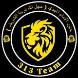 313 Team