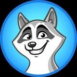 RACCOON on TON | CHAT 👁️‍🗨️
