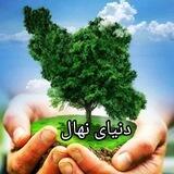 واریزی و رضایت های دنیای نهال
