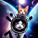 SPACE CAT
