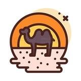 骆驼网络超群日结pczm上押515U