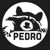 Pedro Discussion 🦝