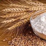 جوانه گندم معجزه چاقی صورت