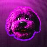 SOLKIE | Solana's Favorite Dog