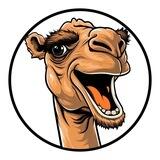 $CAMEL 🐫 Portal