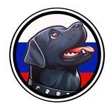 Konni | Putin's dog