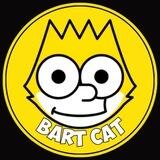 Bart Cat|New Predictions |Year Of Cat Meme Coin |