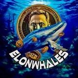ElonWhales BSC