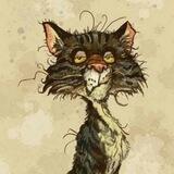 Коты Помойные