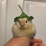 bonbon🌦️