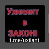 Ухилянт в ЗАКОНІ