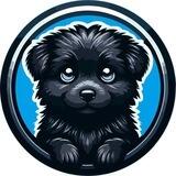 MYRO 2.0 | ANNOUNCEMENTS