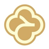 مجموعه حکیم رضوی قمی