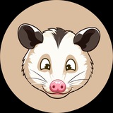 Heidi Coin