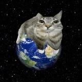 $moshi Portal