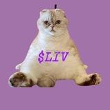 Taylor Swift's Cat - $LIV