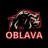 ОБЛАВА