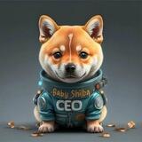 Baby Shiba CEO | locked for 1 year