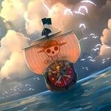 宝藏铺(onepiece是真实存在的)