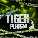 TIGER PUBG