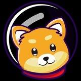 Moon DOGE Token