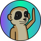 MEERK on SOLANA