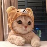 $kitti portal