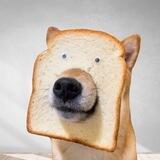 DogWifBread | $WIF | ETH
