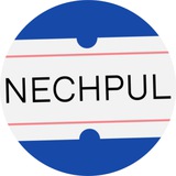NECHPUL — медиа про деньги в Узбекистане