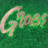 GRASS Зеленодольск