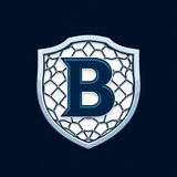 B SHIELD NET
