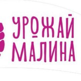 Пляж Урожай Малина