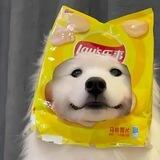 杜月笙租微信老群