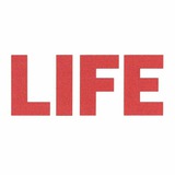 ДНР Life