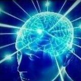 Smart meme Portal