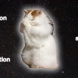 Conviction