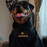 CHO(Chief Happiness Officer) CTO