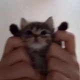 китики